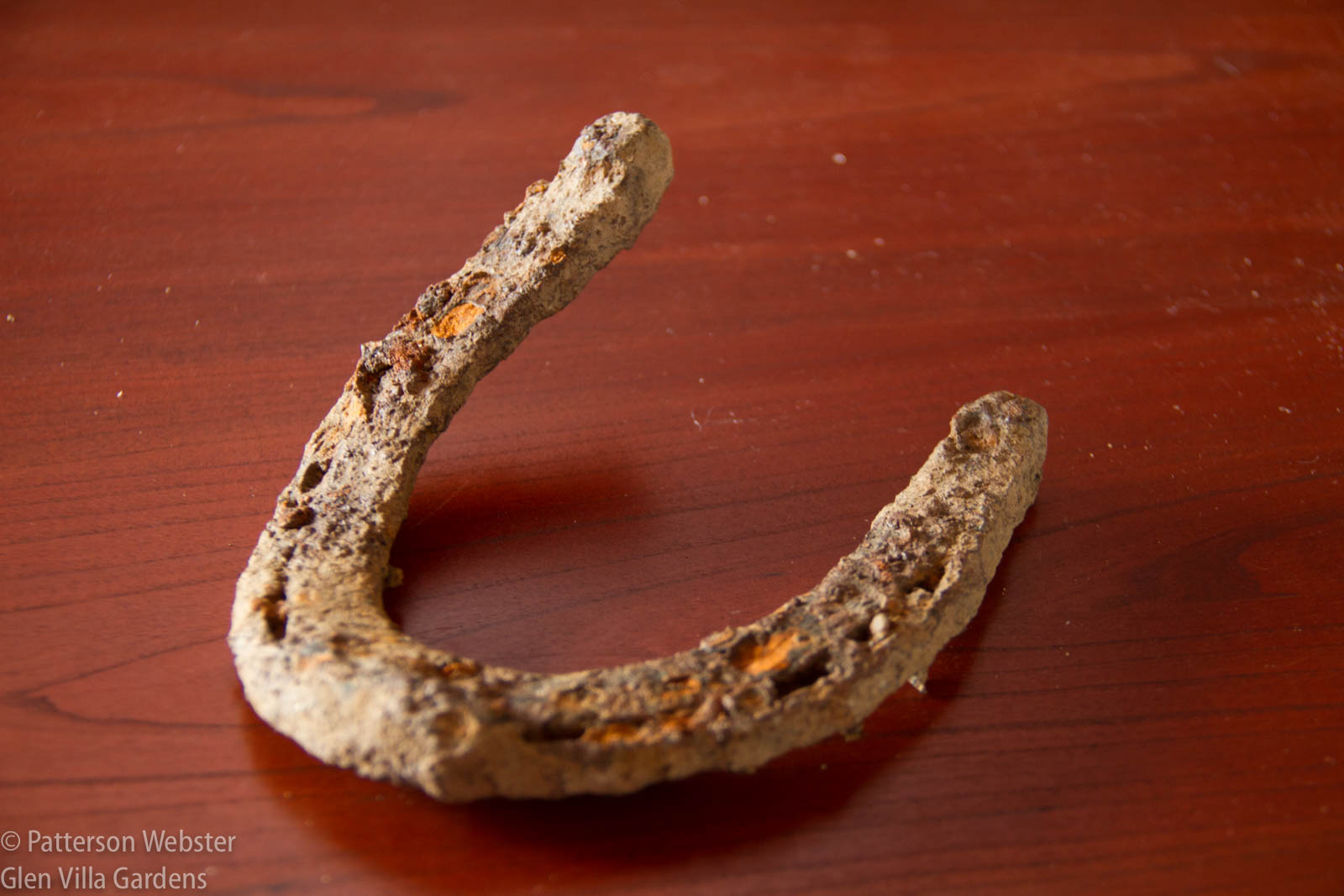 This lucky horseshoe was one of many bits and pieces we unearthed from the hotel wall. Maybe it will inspire an idea. i