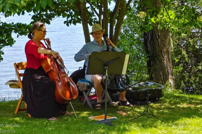 The rich sounds of the cello could be heard from the Lower Garden right up to the Upper Field. No question, the music added to the special atmosphere.