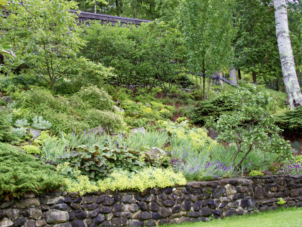 Part of the Lower Garden at Glen Villa