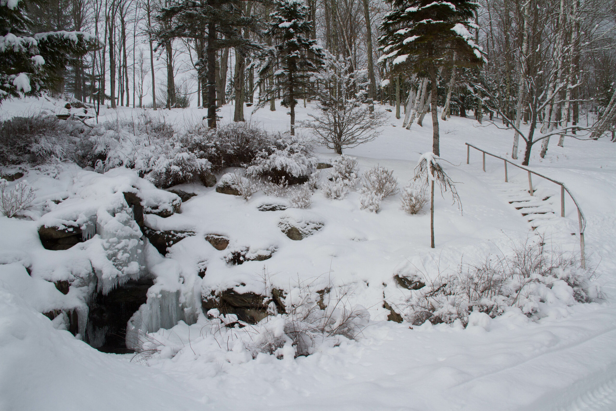 The Cascade in early January 2020. The Cascade in early January 2020.