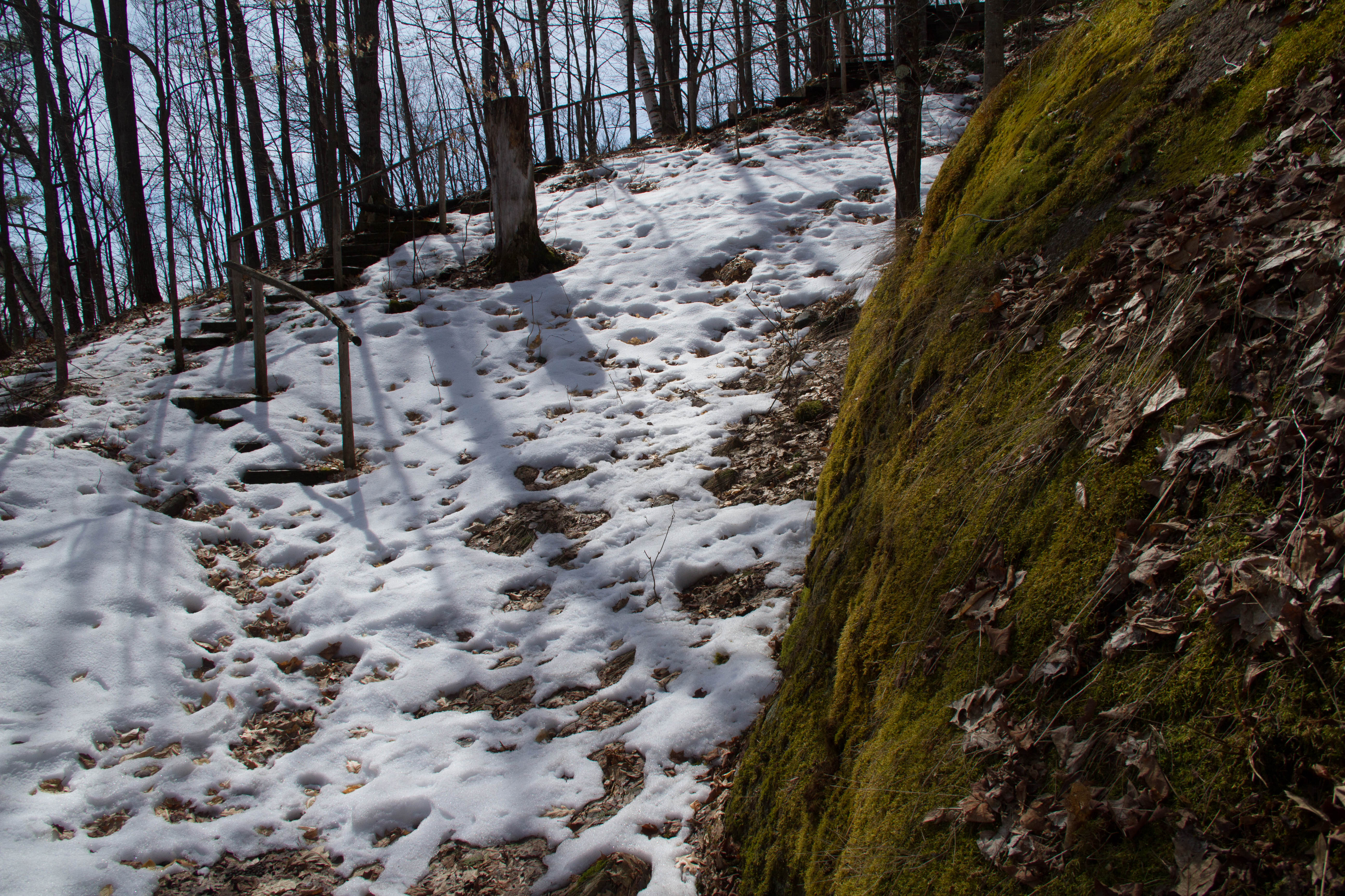 The snow-free spots on this hillside are warmer. Why?