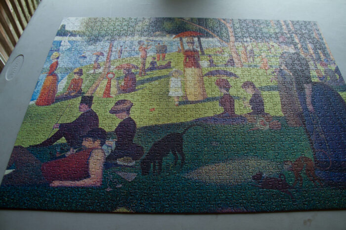 This 1000 piece jigsaw of a pointillist painting by Georges Seurat was particularly difficult to do.