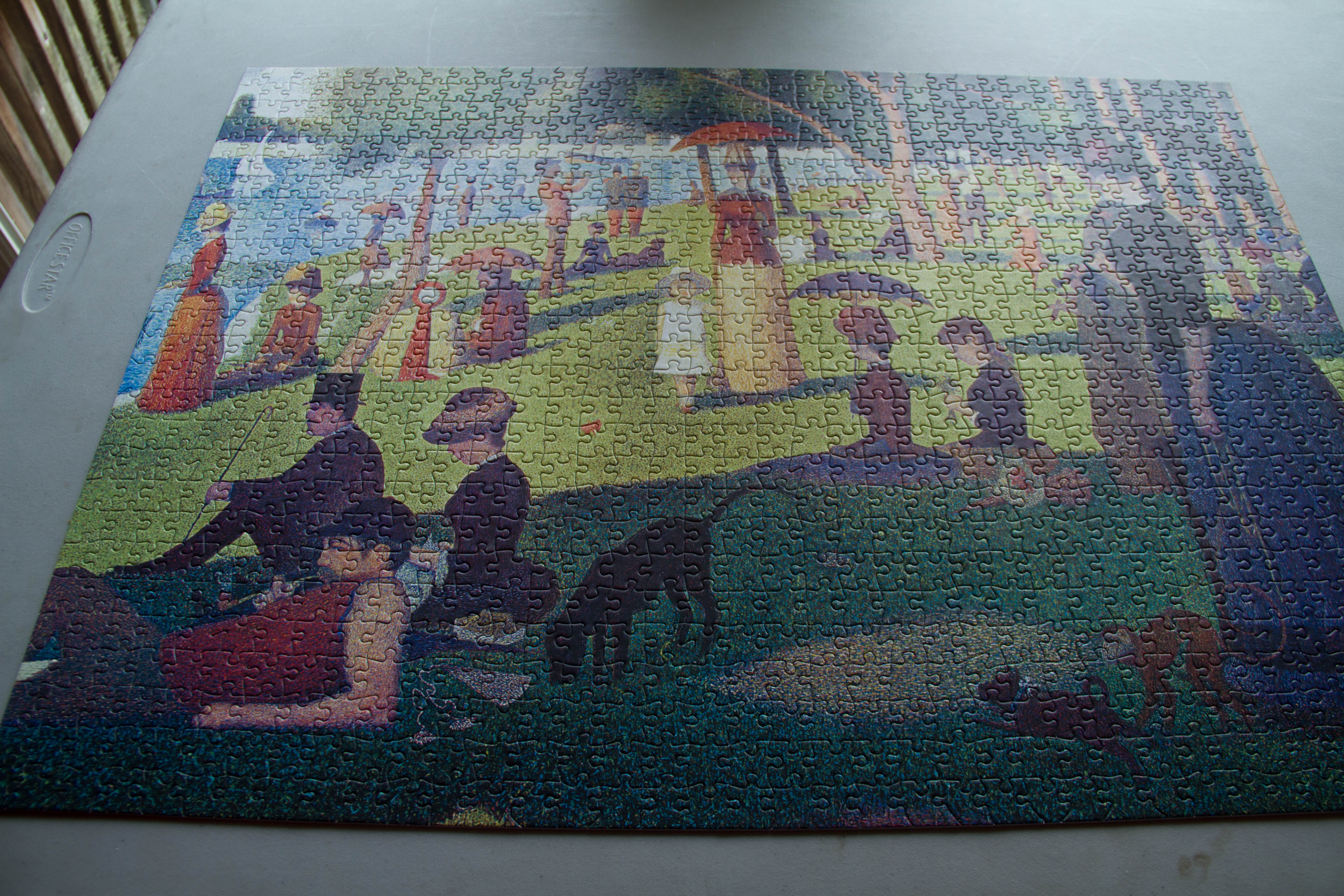 This 1000 piece jigsaw of a pointillist painting by Georges Seurat was particularly difficult to do. 