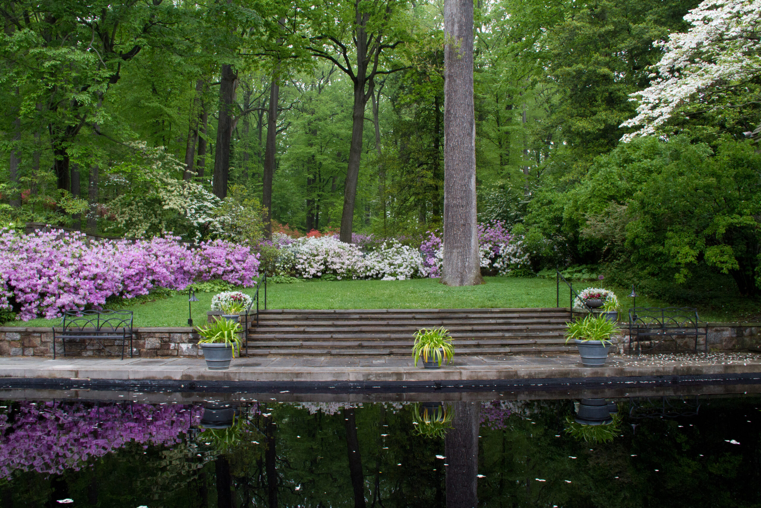 Marian Coffin, Landscape Architect - Glen Villa Art Garden