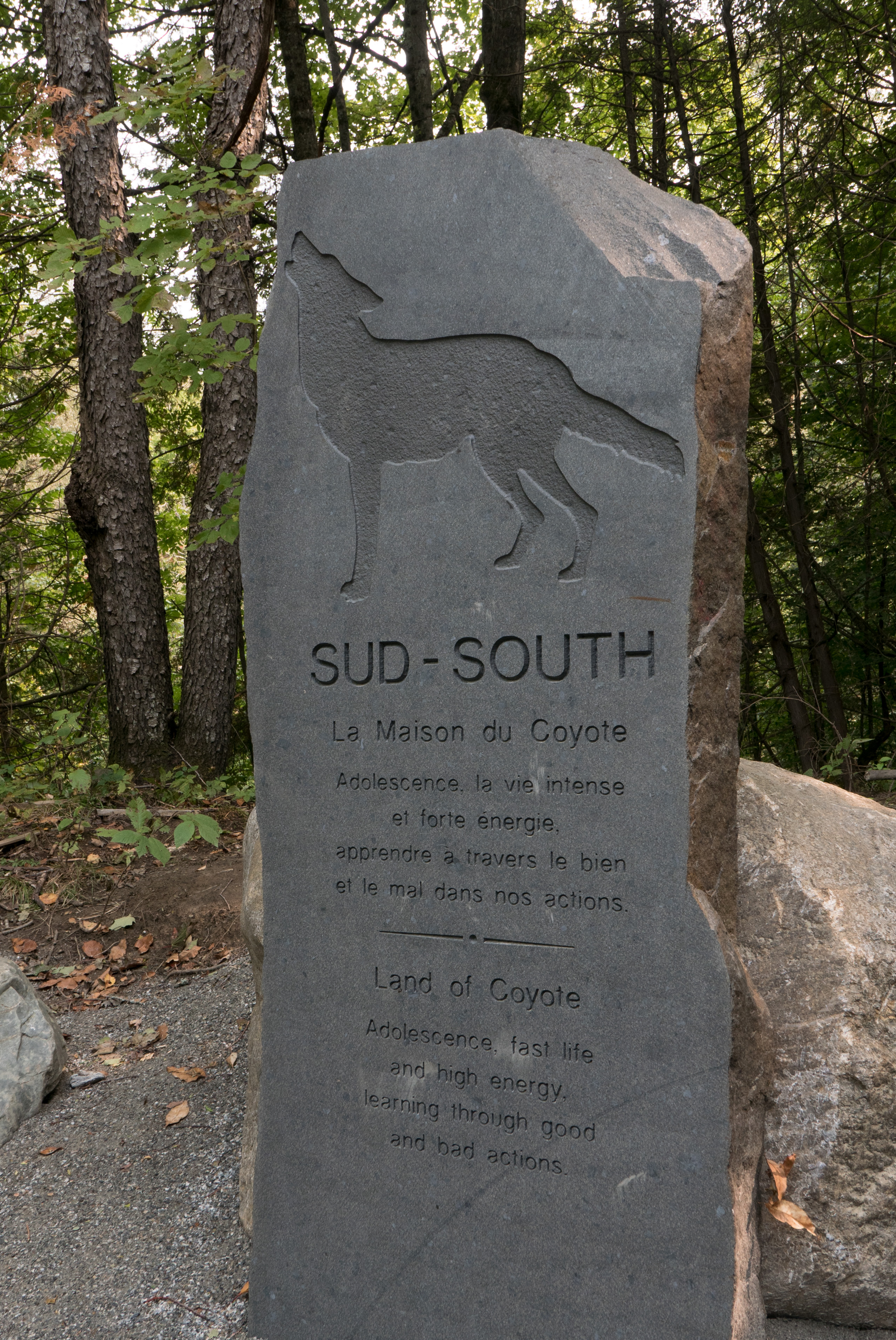 The animal spirit for the South is a coyote.