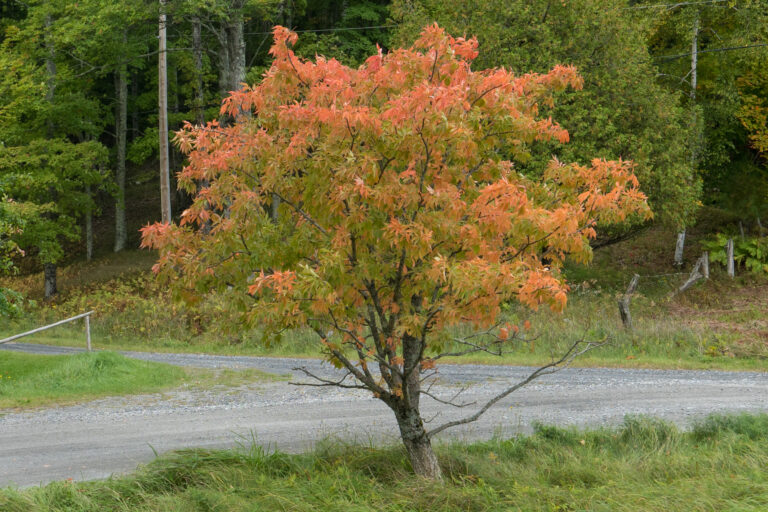 This photo was taken on September This photo was taken on September