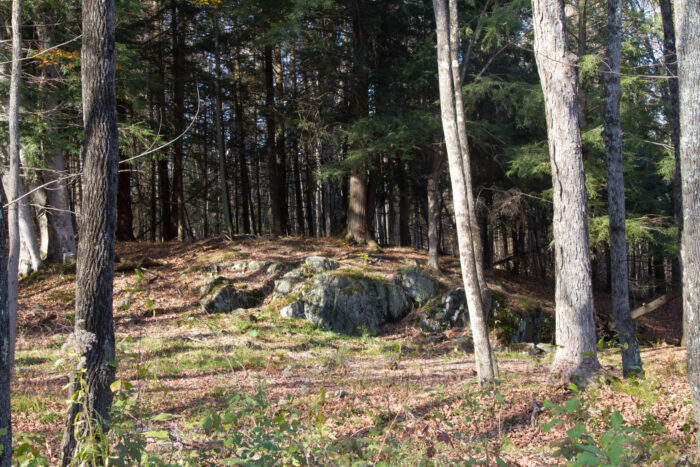 This is how the rock looked in 2013, before I started on the trail extension.