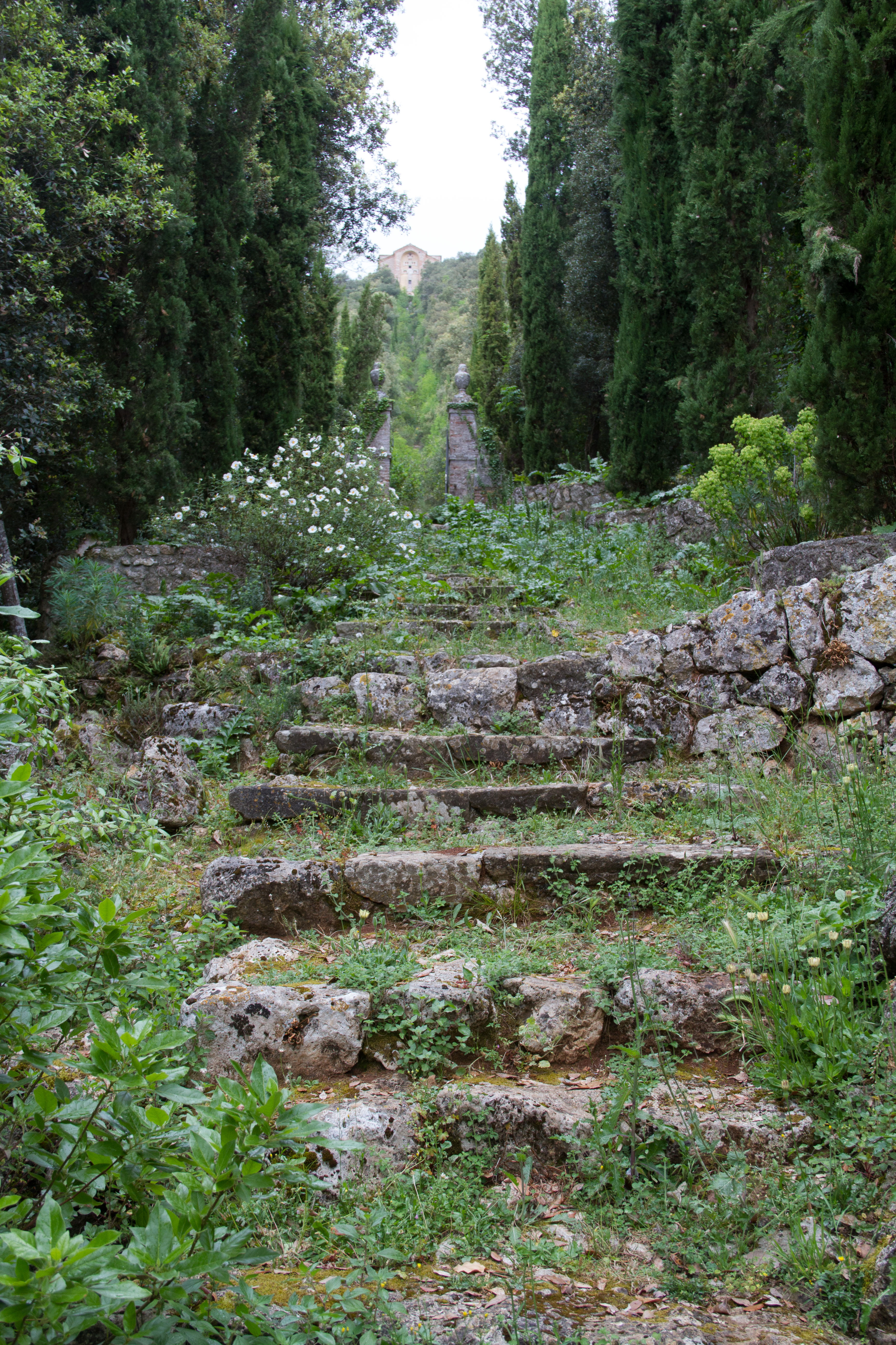 An uneven staircase leads up the hillside at Villa Cetinale.