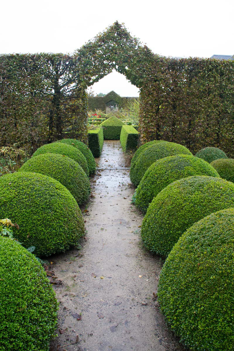 Boxwood at Le Jardin Plume in Normandy
