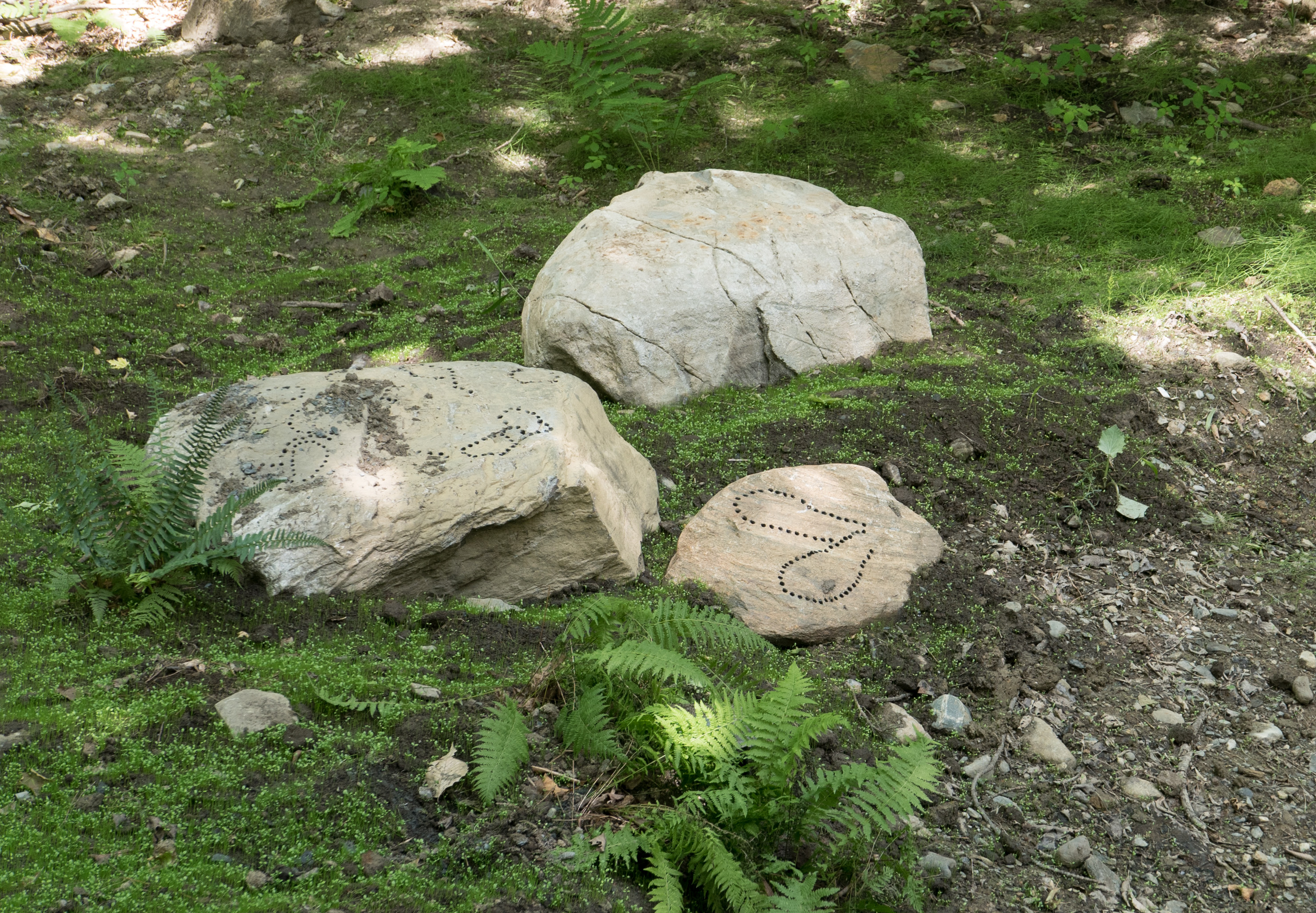 drilled rocks with fern (1 of 1)