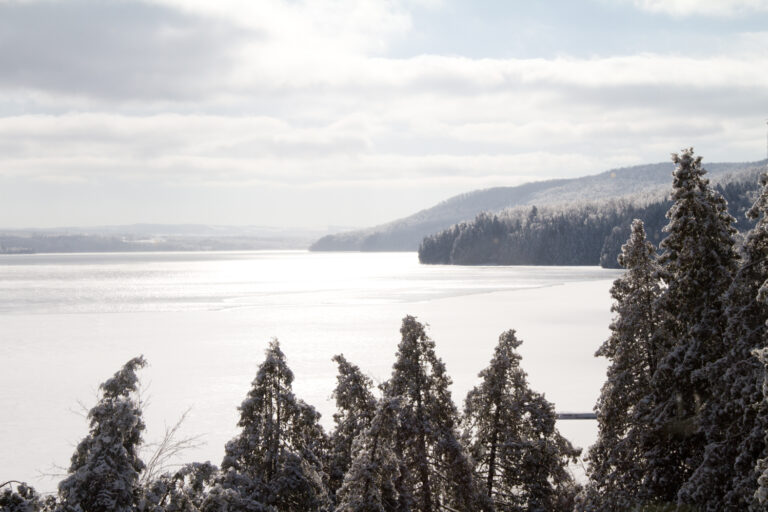 lake-view-1-of-1.jpg