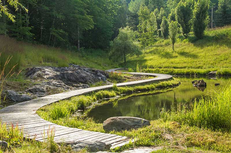 Pond Wood Path
