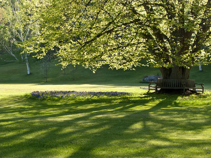 GVAG-tree-bench-800px glen villa art garden round bench
