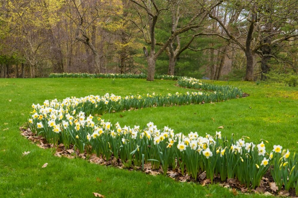 Glen Villa Art Garden